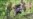 16x9 Image