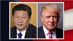 Trump နဲ့ Xi နှစ်နိုင်ငံ အကျိုးတူ ကိစ္စရပ်တွေ ဆွေးနွေးမည် Trump နဲ့ Xi နှစ်နိုင်ငံ အကျိုးတူ ကိစ္စရပ်တွေ ဆွေးနွေးမည်