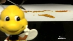 Пестициди вбивають бджолині колонії Пестициди вбивають бджолині колонії