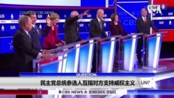民主党总统参选人互指对方支持威权主义 民主党总统参选人互指对方支持威权主义