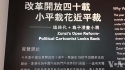 香港漫画家笔下的中国改革四十年 香港漫画家笔下的中国改革四十年