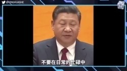 【美国热搜】吐槽春晚集锦；证据浮现，DeepSeek剧情开始反转；特朗普对华关税大棒为啥不落下？OpenAI掌握DeepSeek蒸馏证据；何为数据“蒸馏”？网友漫画解读；大年初一美国警方截获36名中国偷渡客和“蛇头”；荒诞视频