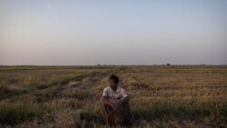 Myanmar: Halt Land Law Implementation Myanmar: Halt Land Law Implementation