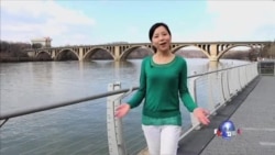 走进美国:美国国歌星条旗的由来 走进美国:美国国歌星条旗的由来