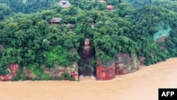 中国四川乐山大佛被洪水“洗脚”。(2020年8月18日)