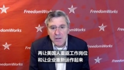 专访: 特朗普总统经济顾问谈美国为何应尽快重启经济 专访: 特朗普总统经济顾问谈美国为何应尽快重启经济