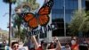 Protesters chant in front of the U.S. Immigration and Customs Enforcement building during a rally after the U.S. Supreme Court ruled on the Deferred Action for Childhood Arrivals program, in Phoenix, June 18, 2020.