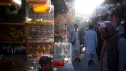 အာဖဂန်ဗဟိုဘဏ်ငွေကြေး ကန်ထိန်းချုပ်မှုပြန်ဖြေဖို့ ကန်လွှတ်တော်အမတ်တွေ တောင်းဆို အာဖဂန်ဗဟိုဘဏ်ငွေကြေး ကန်ထိန်းချုပ်မှုပြန်ဖြေဖို့ ကန်လွှတ်တော်အမတ်တွေ တောင်းဆို