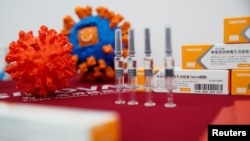 中国科兴公司在北京展示其研发生产的新冠病毒疫苗。(2020年9月24日)