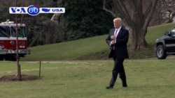 Lộ bản khai thuế của ông Trump (VOA60) Lộ bản khai thuế của ông Trump (VOA60)