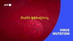ရောဂါပိုးတစ်ခုရဲ့ မျိုးဇီဇပြောင်းလဲမှု ရောဂါပိုးတစ်ခုရဲ့ မျိုးဇီဇပြောင်းလဲမှု