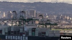 一艘满载货柜的长荣海运货船停泊在美国加州奥克兰港。(路透社:2025年3月7日)