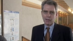 Міжнародні спостерігачі - про вибори в Україні