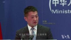 中国外交部回应孟宏伟被立案调查