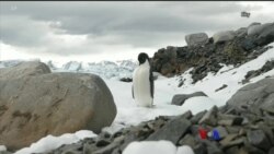 အန္တာတိက သဘောတူညီချက်နဲ့ ရာသီဥတု ပြောင်းလဲမှု အန္တာတိက သဘောတူညီချက်နဲ့ ရာသီဥတု ပြောင်းလဲမှု