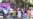 16x9 Image