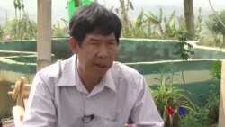 ရွာငံသဘာဝကော်ဖီ ထုတ်လုပ်မှု ရွာငံသဘာဝကော်ဖီ ထုတ်လုပ်မှု