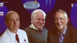 英美科学家因发现肝炎病毒获诺贝尔医学奖 英美科学家因发现肝炎病毒获诺贝尔医学奖