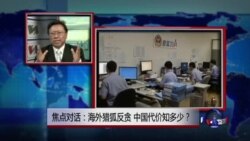 焦点对话:海外猎狐反贪,中国代价知多少? 焦点对话:海外猎狐反贪,中国代价知多少?