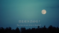 道听途说：你在他乡还好吗？