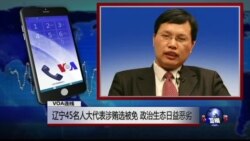 VOA连线(胡星斗):辽宁45名人大代表涉贿选被免 政治生态日益恶劣 VOA连线(胡星斗):辽宁45名人大代表涉贿选被免 政治生态日益恶劣