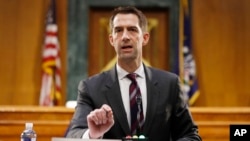 资料照:共和党联邦参议员科顿