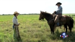 走进美国:当个牛仔过一生 走进美国:当个牛仔过一生