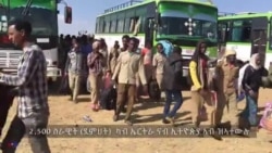 2,500 ሰራዊት (ደምህት) ካብ ኤርትራ ናብ ኢትዮጵያ ኣትዮም 2,500 ሰራዊት (ደምህት) ካብ ኤርትራ ናብ ኢትዮጵያ ኣትዮም