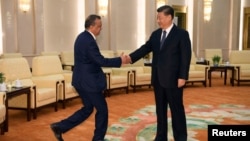 资料照:中国国家主席习近平在北京人大会堂会晤到访的世界卫生组织总干事谭德塞。(2020年1月28日)