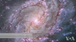 科学家提出建议 促进在宇宙中寻找生命 科学家提出建议 促进在宇宙中寻找生命