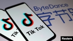 抖音国际版TikTok与母公司字节跳动科技有限公司