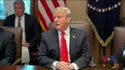 Огляд новин: уряд США частково закритий вже понад 3 тижні, Вашингтон занесло снігом. Відео