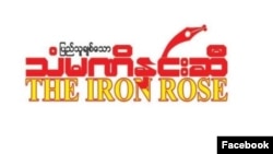 သံမဏိနှင်းဆီဂျာနယ် (Facebook)