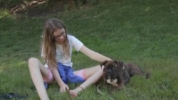 学校准备重新开放 家长面临选择 学校准备重新开放 家长面临选择